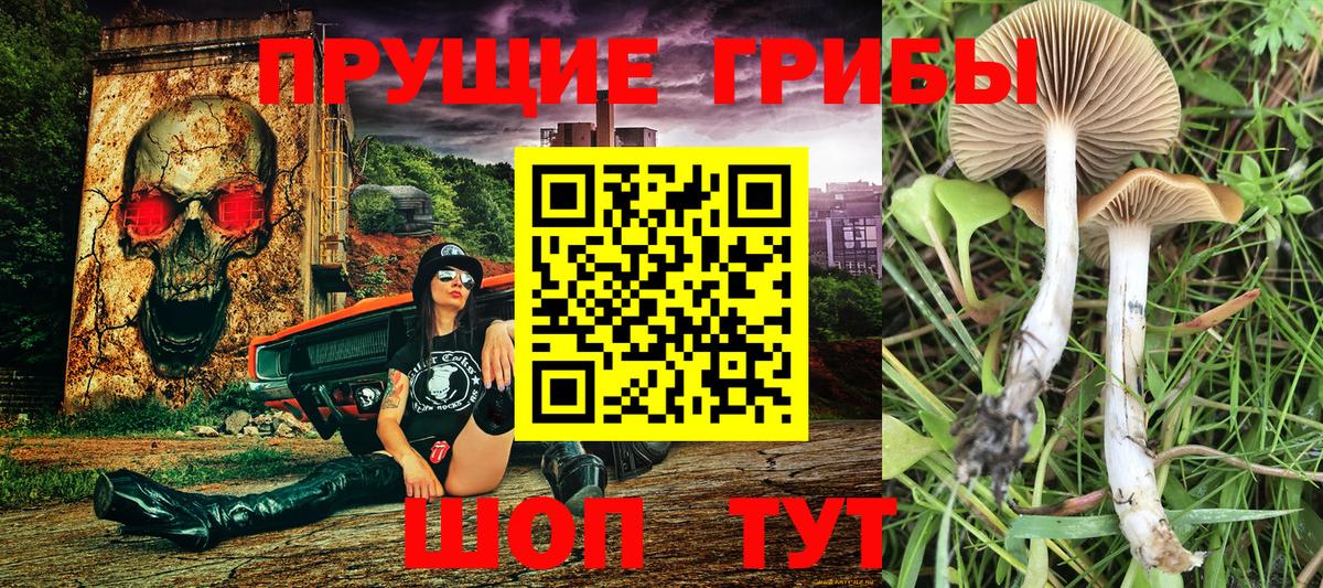 Псилоцибиновые грибы мухоморы  Вход с VPN  Псилоцибиновые грибы GOLDEN TEACHER  Луховицы 