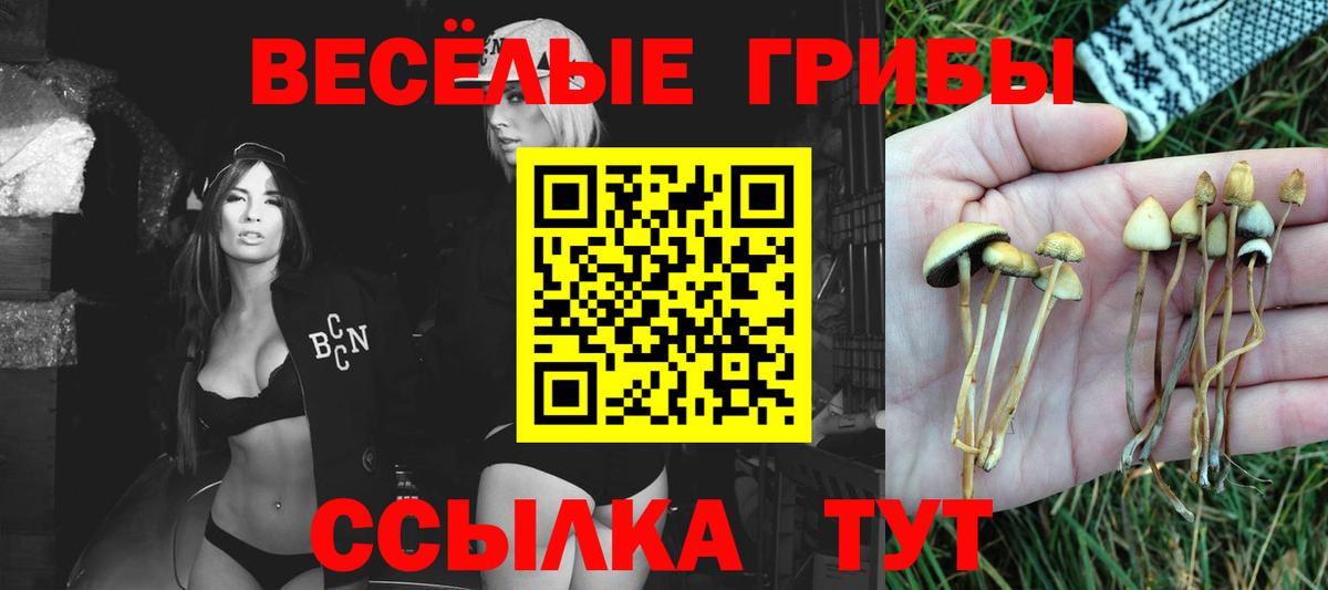 Галлюциногенные грибы прущие грибы Луховицы