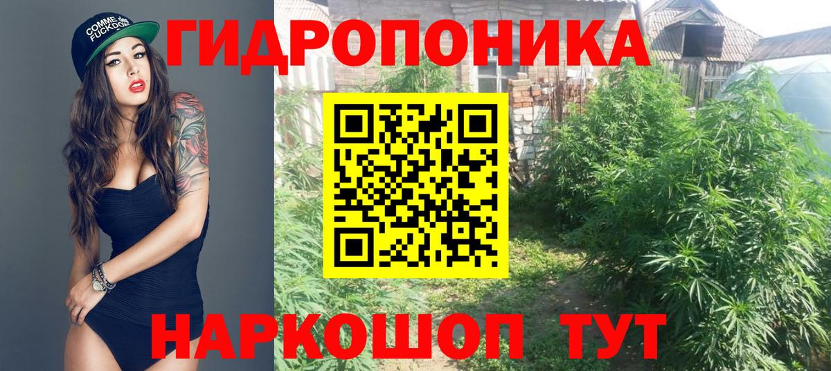 Луховицы  Бошки Шишки OG Kush  Конопля индика  Вход с VPN  Шишки марихуана индика 